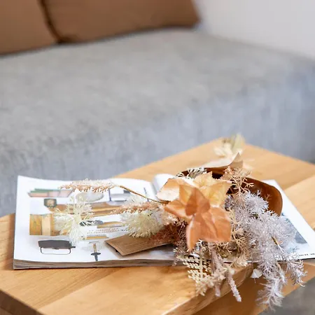 Apartment And Old Center Pula